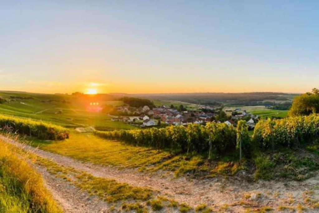 Cottage, Lodge & Spa Prouilly Buitenkant foto